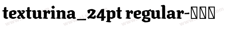 texturina_24pt regular字体转换 texturina_24pt regular字体转换